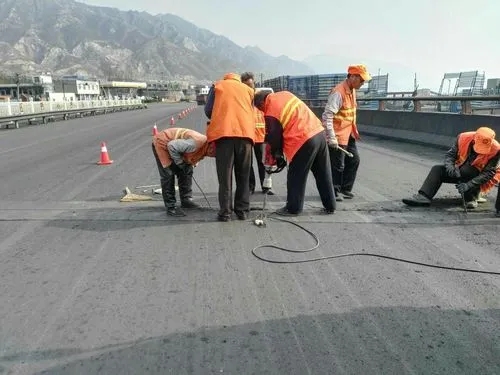 任县道路桥梁病害治理